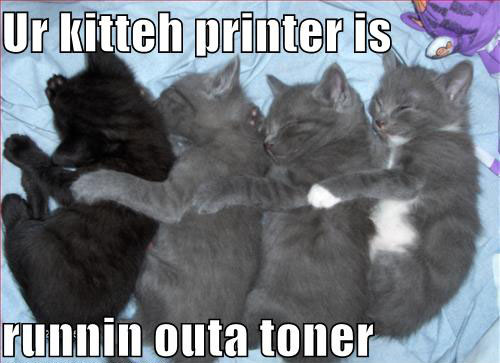 funny-pictures-kitten-printer.jpg