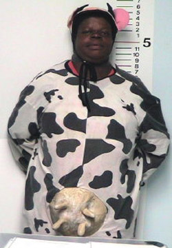 vaca_loca_arrestada2.jpg