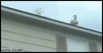 tumblr_lwhwy1e3wU1qdlh1io1_250.gif