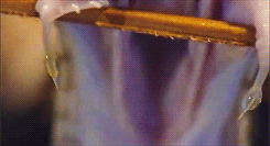 tumblr_mbo6vza40k1qlvt53o3_250.gif