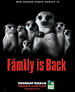 Meerkat+Manor.jpg