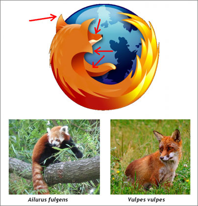 firefox-logo-investigacion.jpg