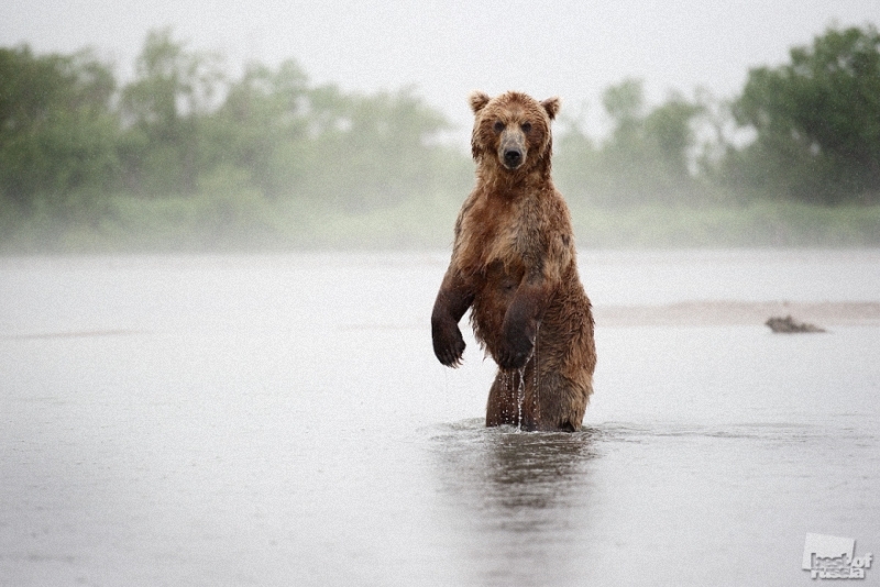 bestphotosofrussianature-22.jpg