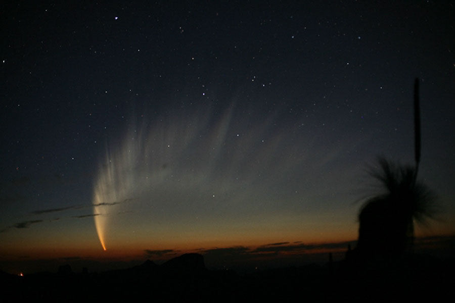 comet_mcnaught.jpg