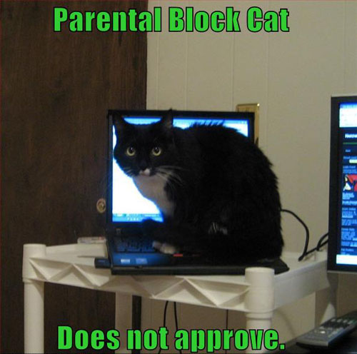 lolcat-funny-picture-parental-block-cat.jpg