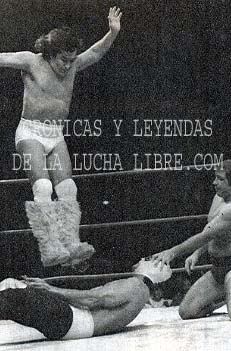 PERRO-FARAON1.jpg