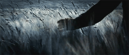 tumblr_mt4w9diYa11s8boj1o1_500.gif