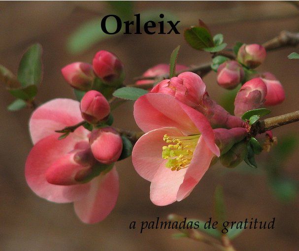 orleix.jpg