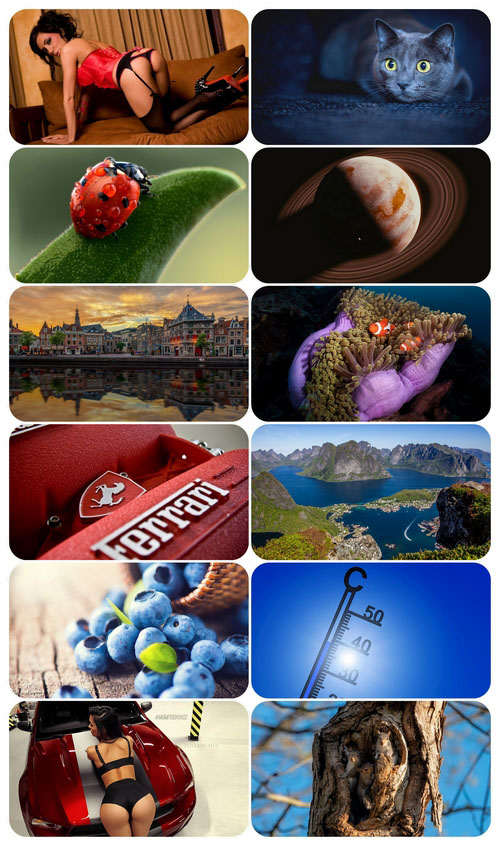 cbaccdfe8d5eb322e5ae25f3a55c25b0.jpg