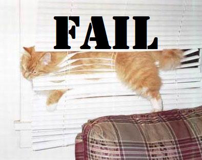 failcat.jpg