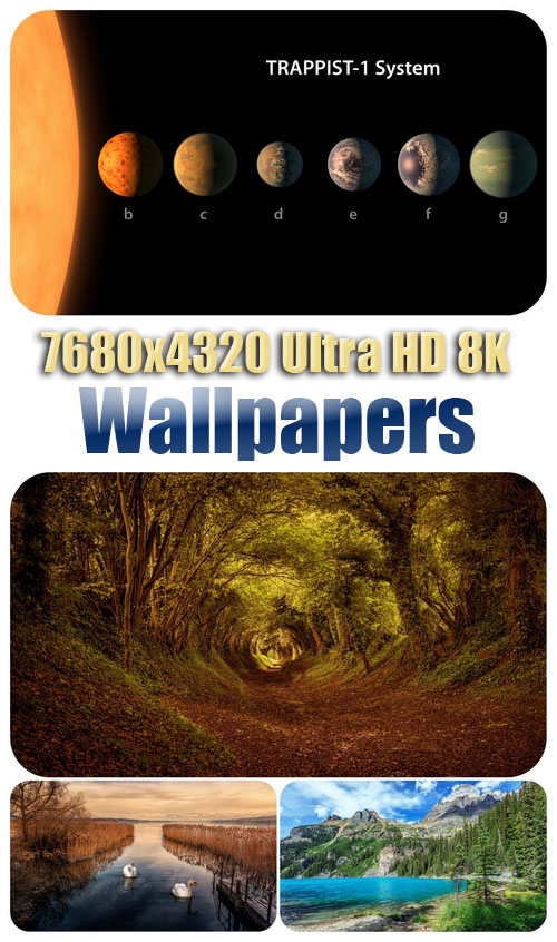 6889f2187f462eeec4a9fb8333d59175.jpg