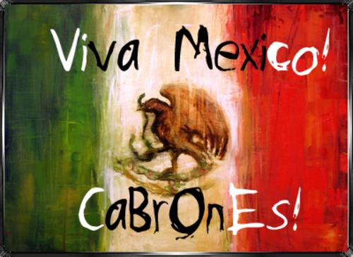 viva-mexico-cabrones1.jpg