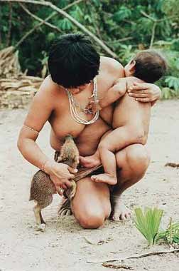 no+mames+buey.bmp