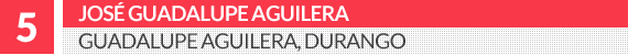 05normales.gif