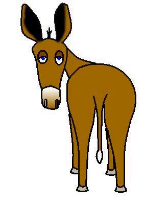 20051214134042-burro-2001.jpg