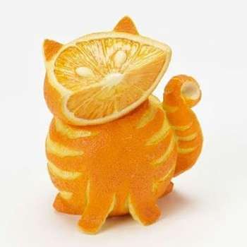 Naranja-gato.jpg