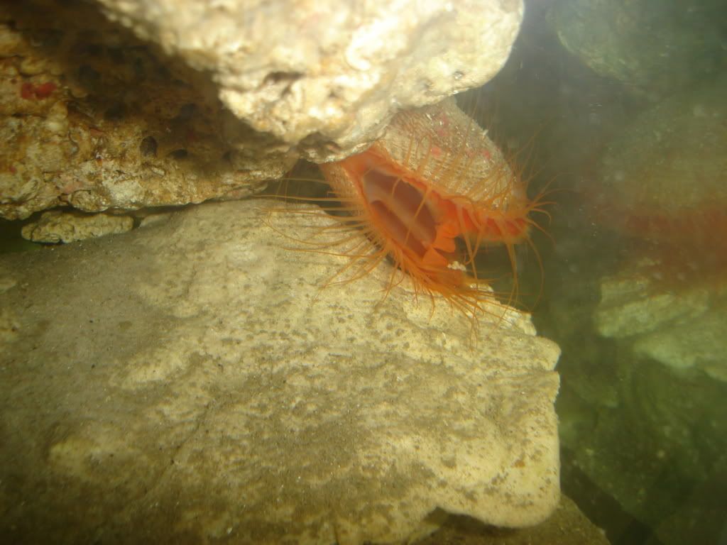 dsc00205.jpg