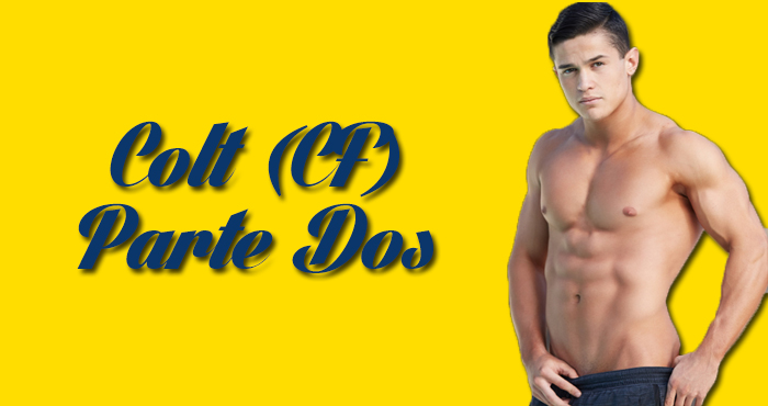 Colt_CF_2.jpg