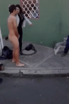 giphy.gif