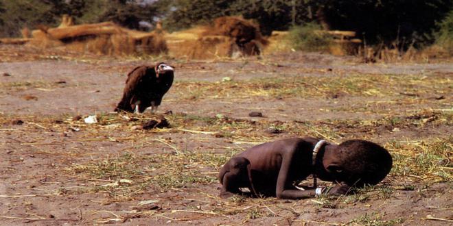 kevin-carter-vulture_660x330.jpg