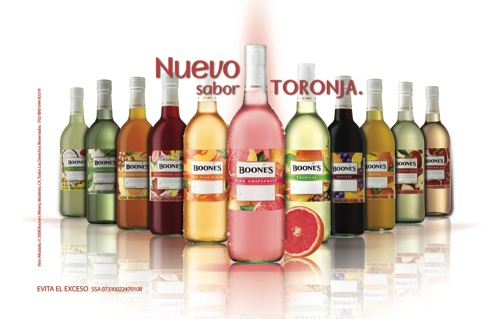 familia-boones-complete.jpg