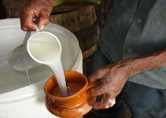 20060707031030-pulque.jpg