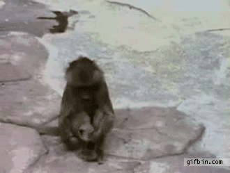af671574.gif