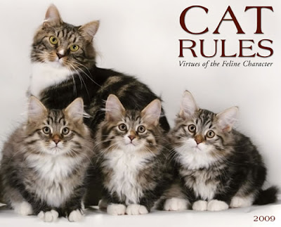 2009-cat-rules.jpg