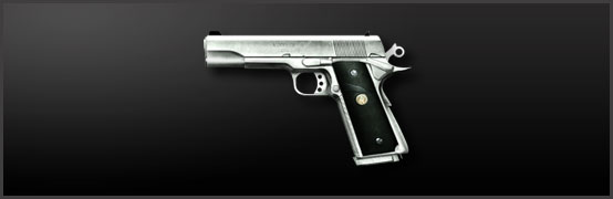 main_m1911_silver.jpg