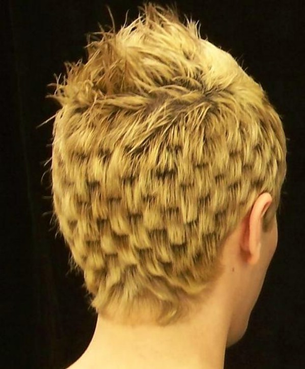 funnyhairstyles05.jpeg