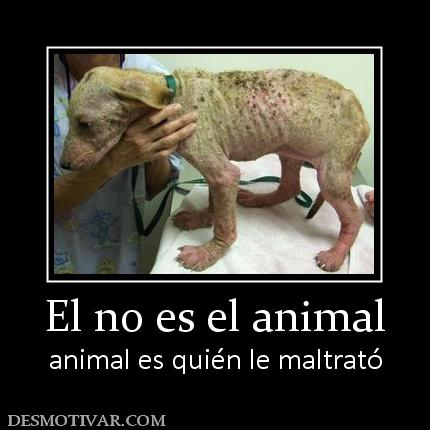 5974_el_no_es_el_animal.jpg