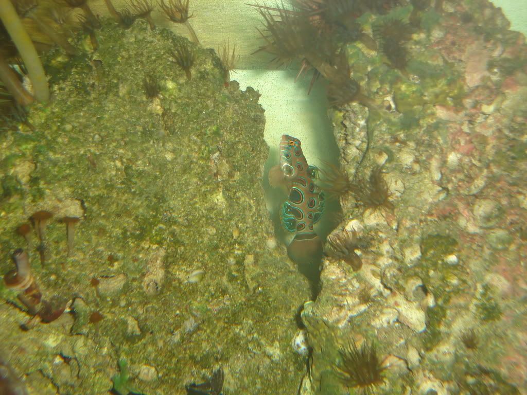 dsc00234.jpg