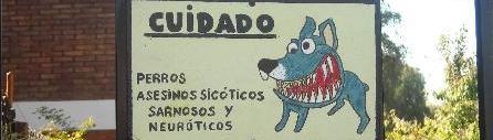 Carteles-graciosos-perro-loco.jpeg