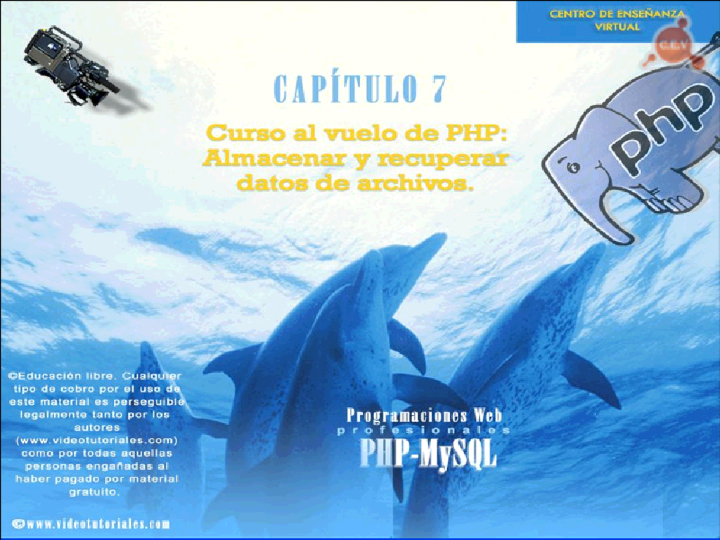 photo-3.png