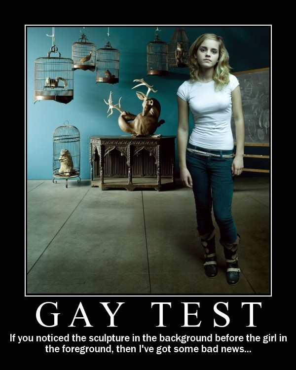 gaytest.jpg