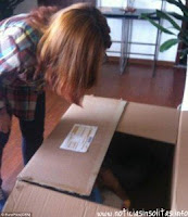 casi_muere_caja2.jpg