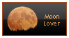 Moon_Lover_I_by_renatalmar.png