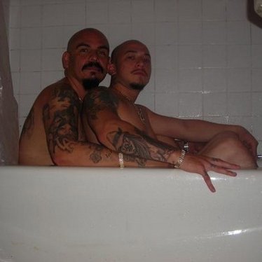 gaycholo_400x400.jpg