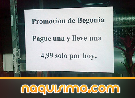 promocion.jpg