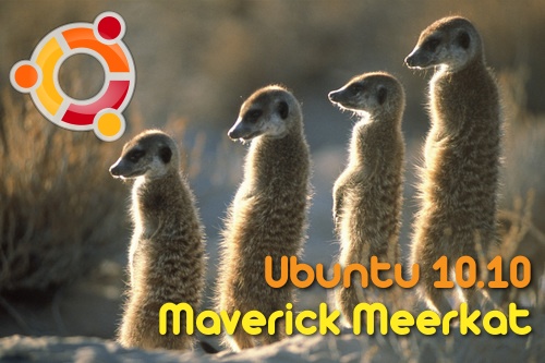 maverick-meerkat.jpg