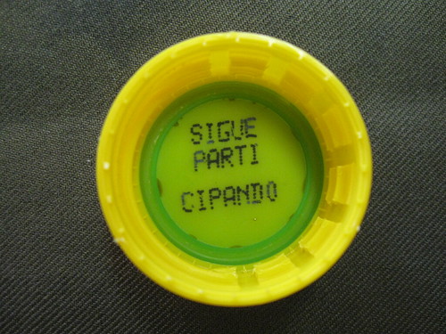 3873390910_80f1dcab64.jpg