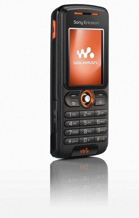 W200.jpg