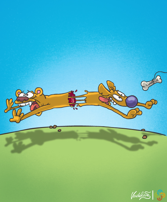 2012.08.29-catdog.jpg