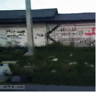 tumblr_lxnhwkPJ3i1qd1t6jo6_250.gif