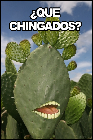 que_chingados____by_delanmx.jpg