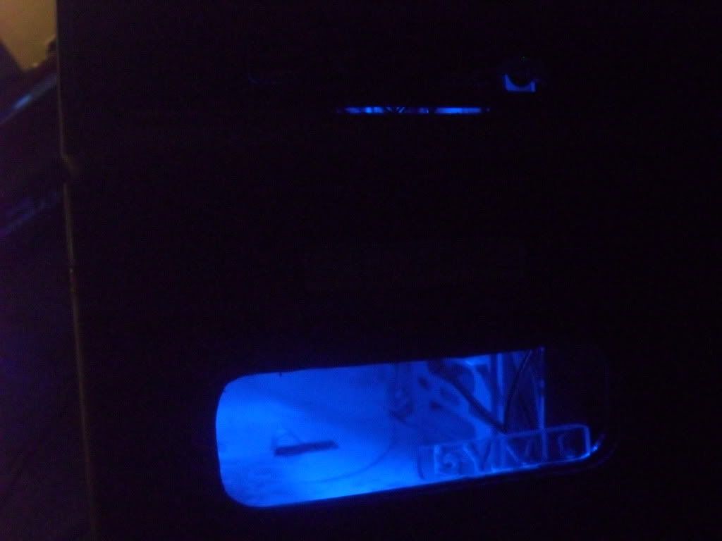 SDC12376.jpg