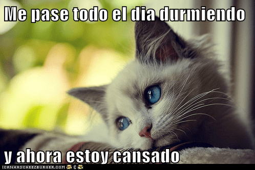 58239d22-b2d5-4eff-818d-537d40abe572.png