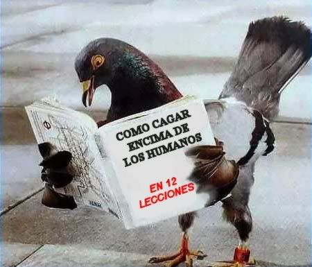 ComoCagarEncimadelosHumanos.jpg