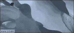 tumblr_lpv36vS8R51qdlh1io1_250.gif