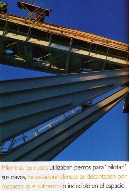 05.jpg